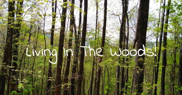 Living in the Woods
