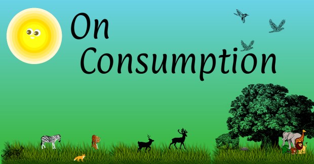 On Consumption