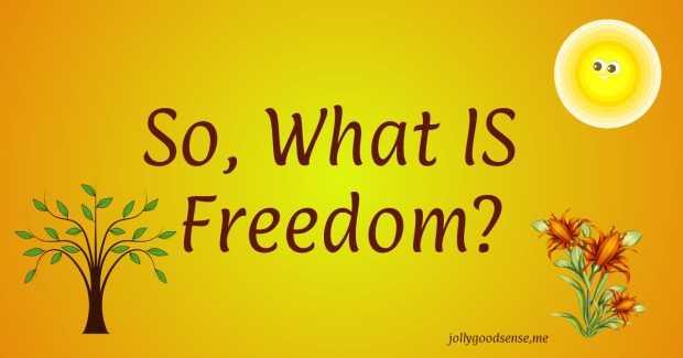 So what IS freedom