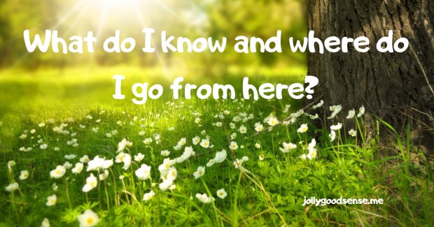 What do I know and where do I go from here